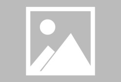 Scout在SKT比赛中夺冠，夺冠引发热议！